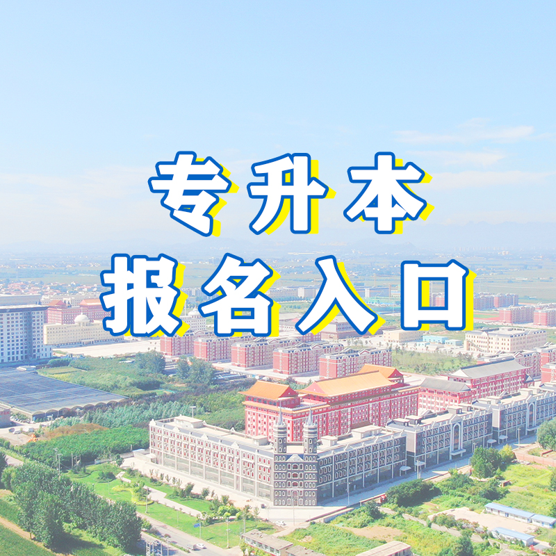 专升本报名入口